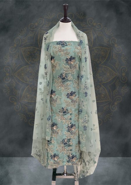 Organza With Tissue Applique Handmade Dress (OT-1)