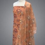 Net Chiffon Fancy-full